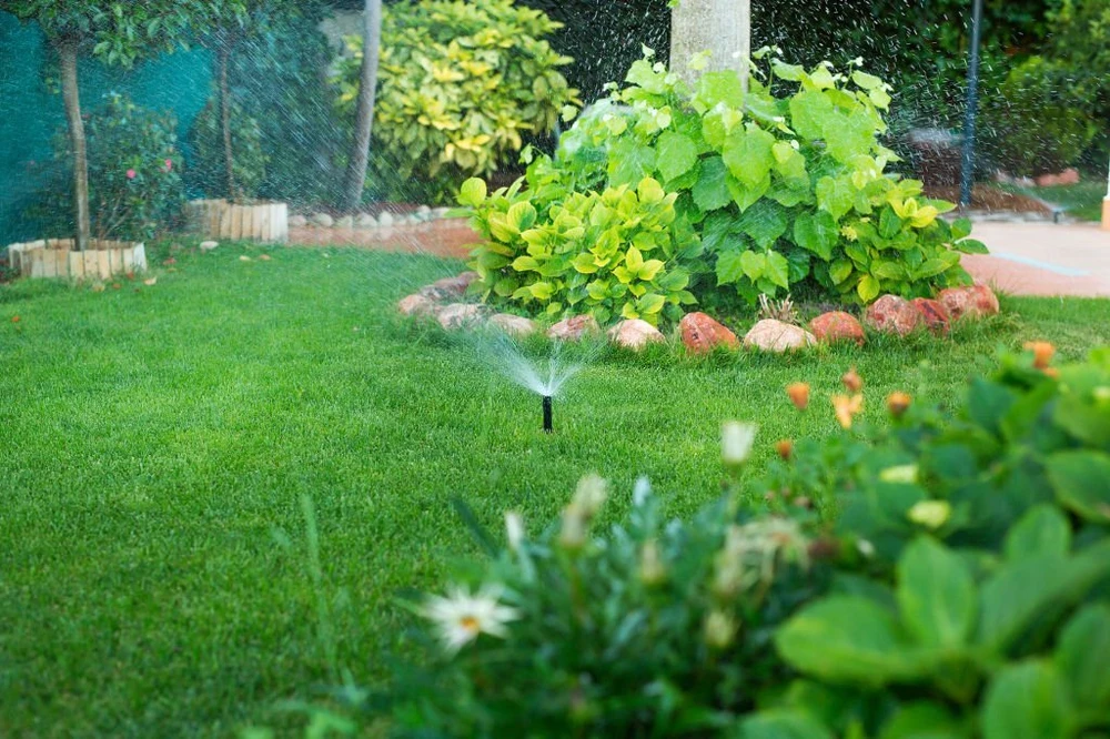Essential Irrigation Installation Before New Plants Fill the Yard
